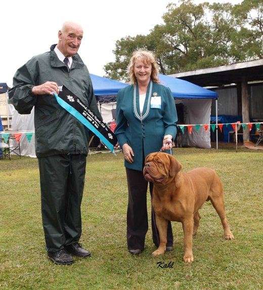 Best in Group Saturday. Judge - Mr K. Cronchey.